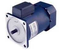 美國H2W電動(dòng)機(jī)馬達(dá)