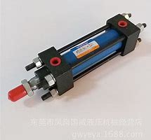 德國(guó)STORZ液壓缸