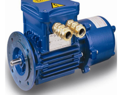 意大利 CEMP防爆電機(jī)