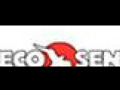 美國ECO Sensors臭氣監測儀