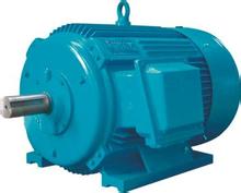 德國JOST電機(jī)