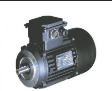 意大利CARPANELLI特殊發電機